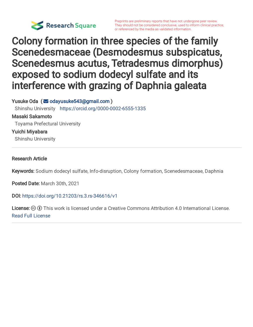 Colony Formation in Three Species of the Family Scenedesmaceae