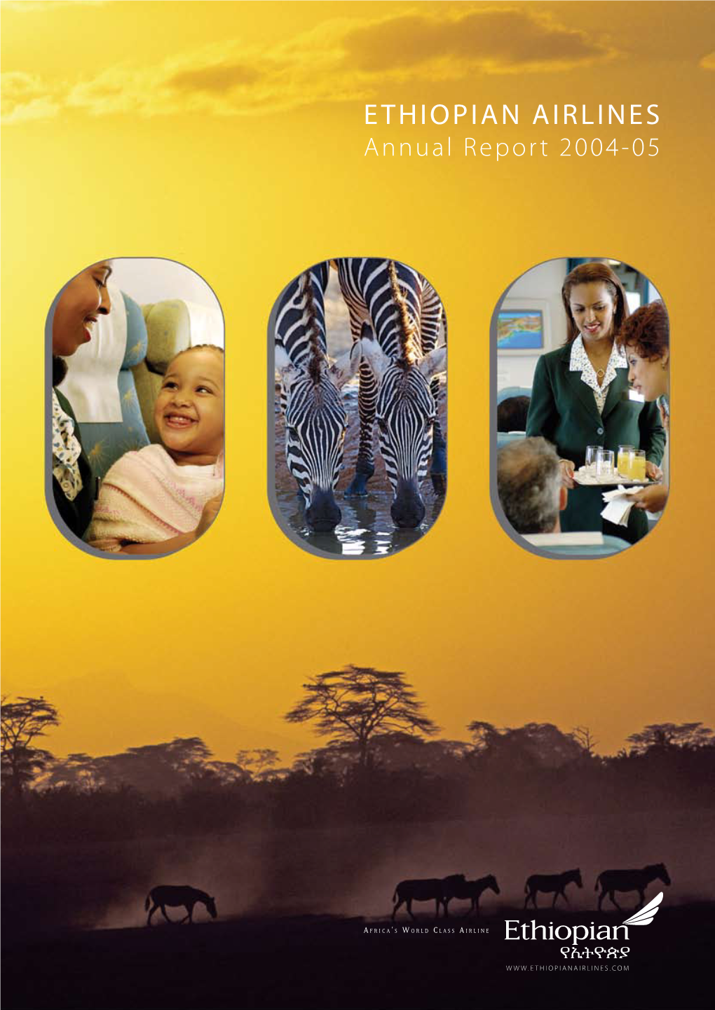 Download Annual Report 2004/05