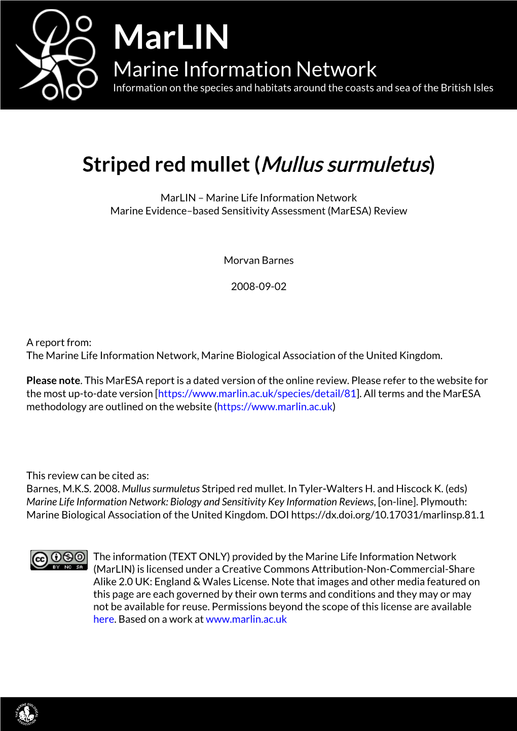Striped Red Mullet (Mullus Surmuletus)