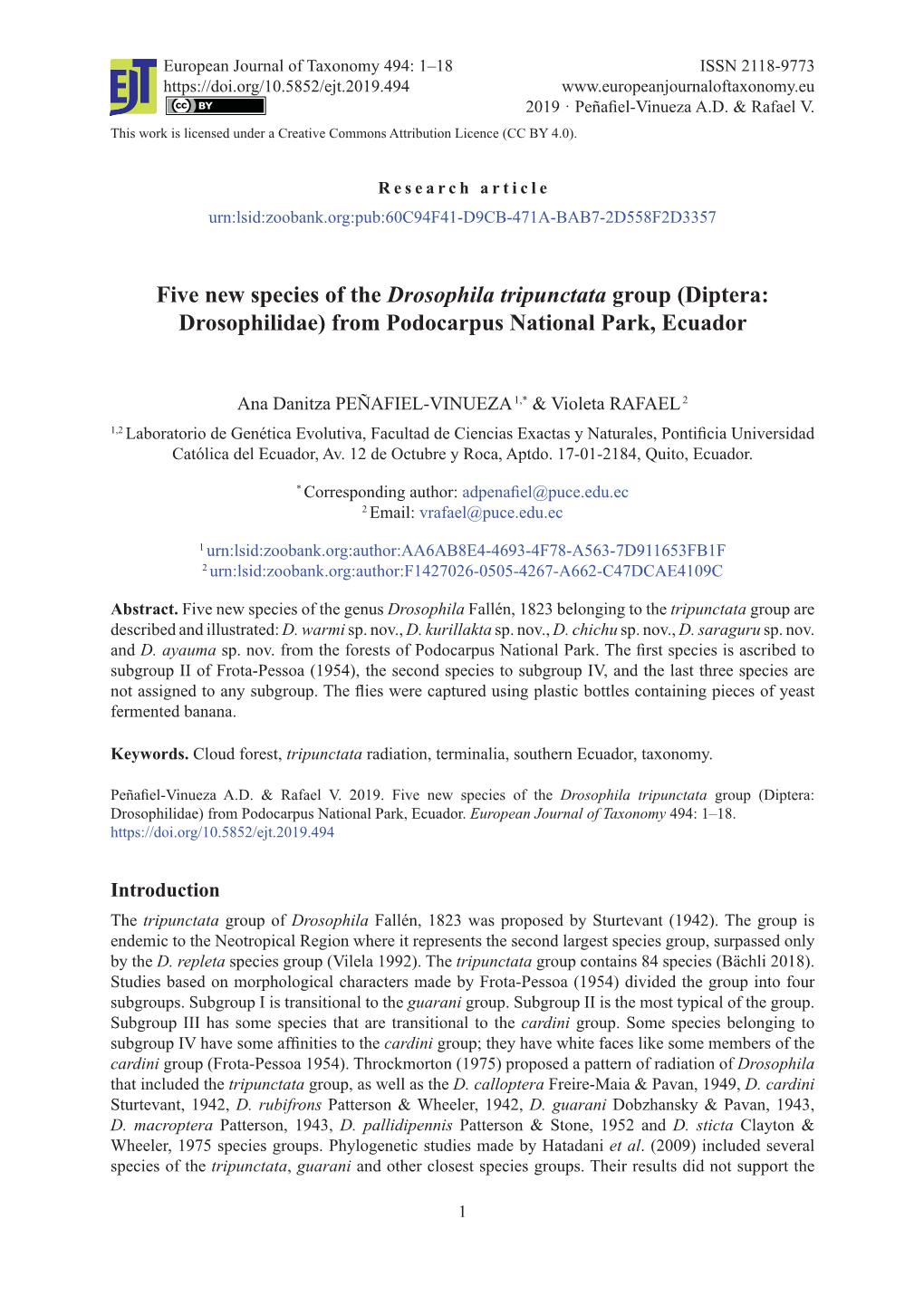 Five New Species of the Drosophila Tripunctata Group (Diptera: Drosophilidae) from Podocarpus National Park, Ecuador