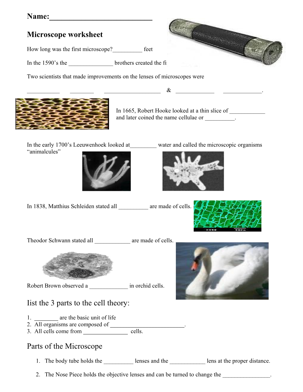 Microscope Worksheet