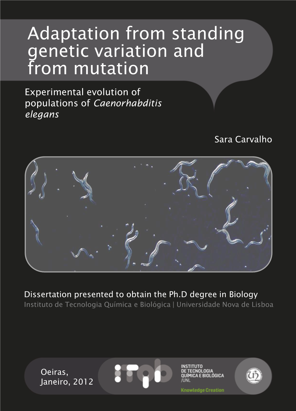 Adaptation from Standing Genetic Variation and from Mutation