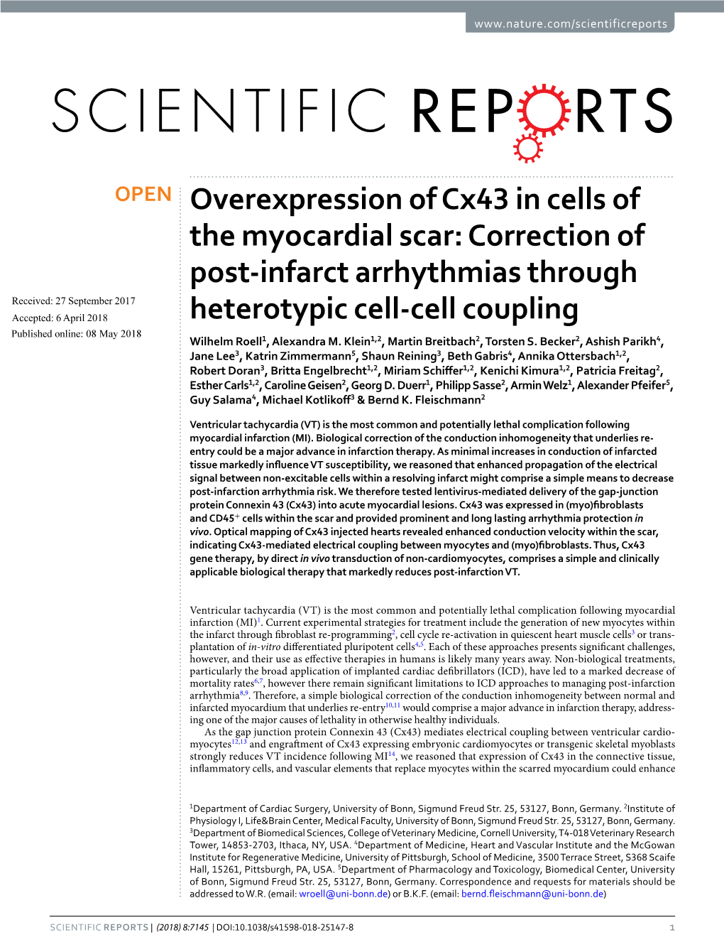 Overexpression of Cx43 in Cells of the Myocardial Scar