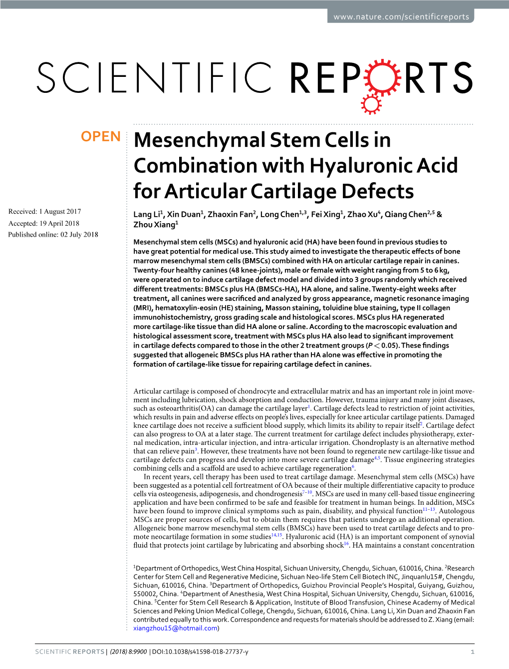 Mesenchymal Stem Cells in Combination with Hyaluronic Acid