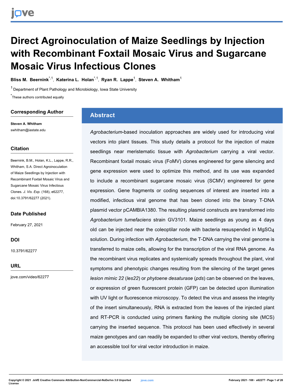 Direct Agroinoculation of Maize Seedlings by Injection with Recombinant Foxtail Mosaic Virus and Sugarcane Mosaic Virus Infectious Clones