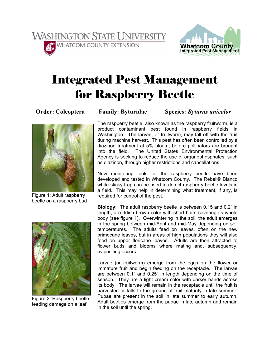 Integrated Pest Management for Raspberry Beetle