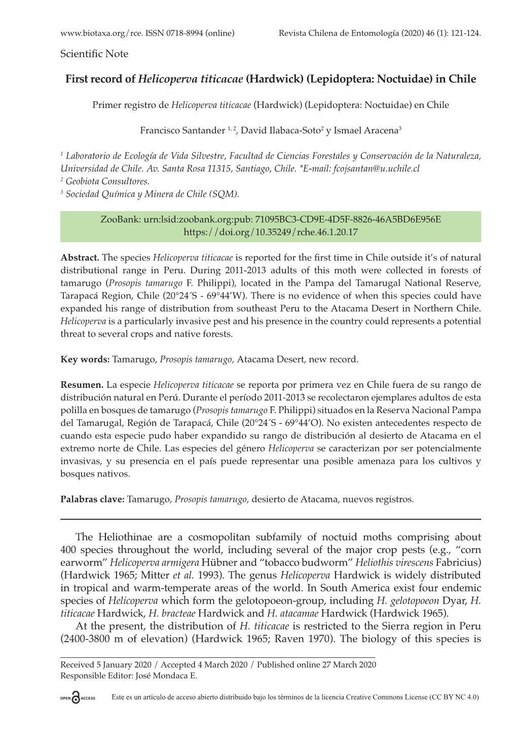 First Record of Helicoperva Titicacae (Hardwick) (Lepidoptera: Noctuidae) in Chile