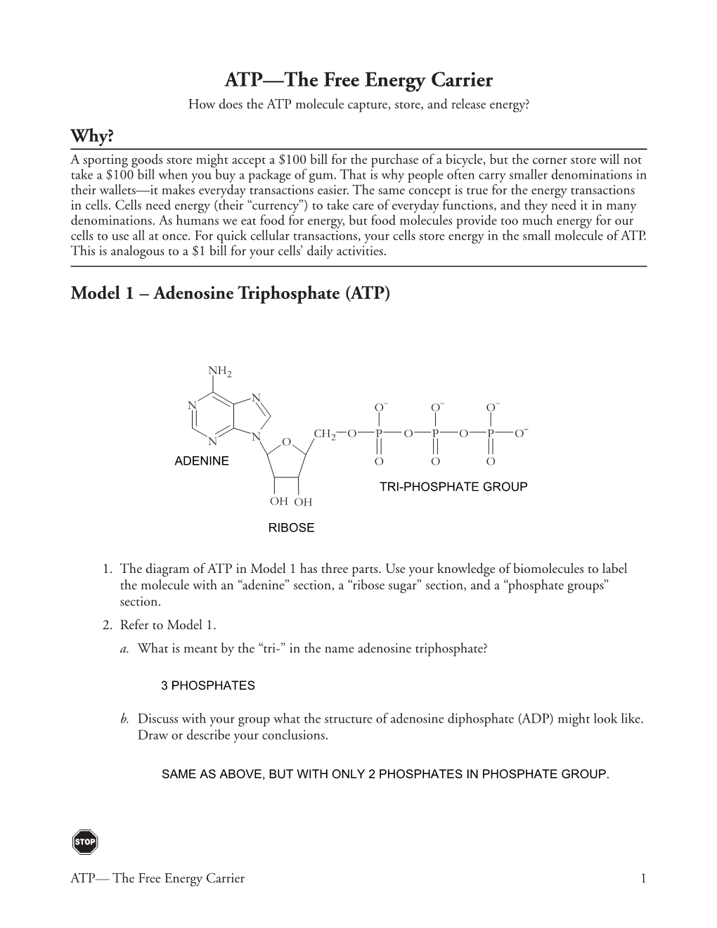 ATP—The Free Energy Carrier