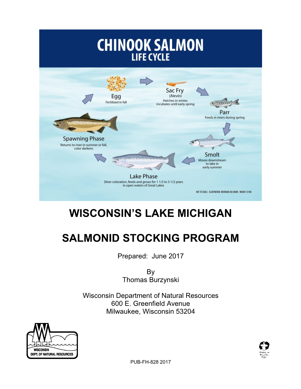 Wisconsin's Lake Michigan Salmonid Stocking Summary