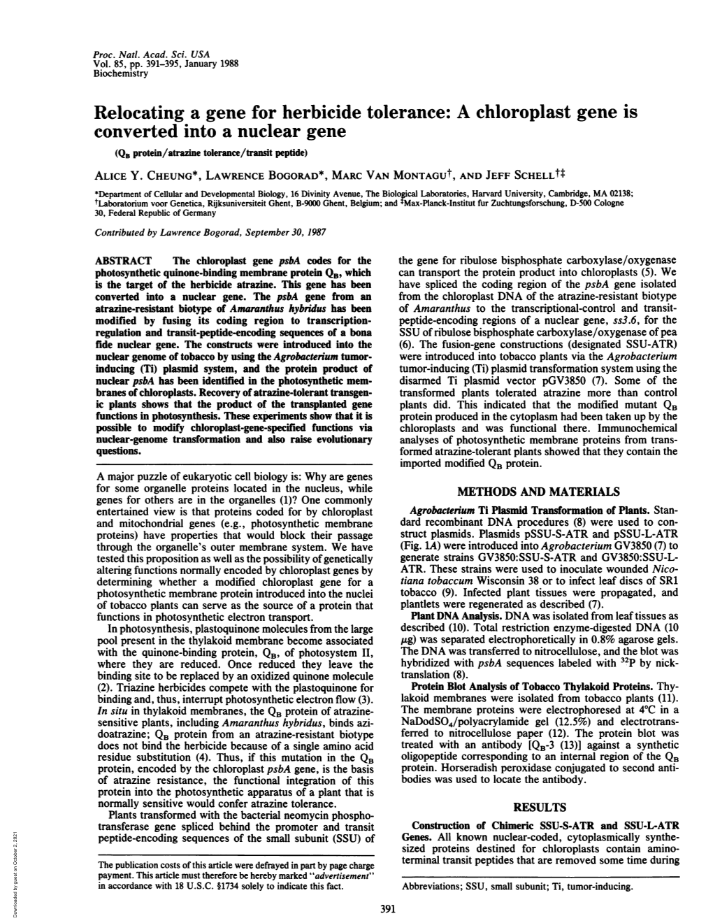 A Chloroplast Gene Is Converted Into a Nucleargene