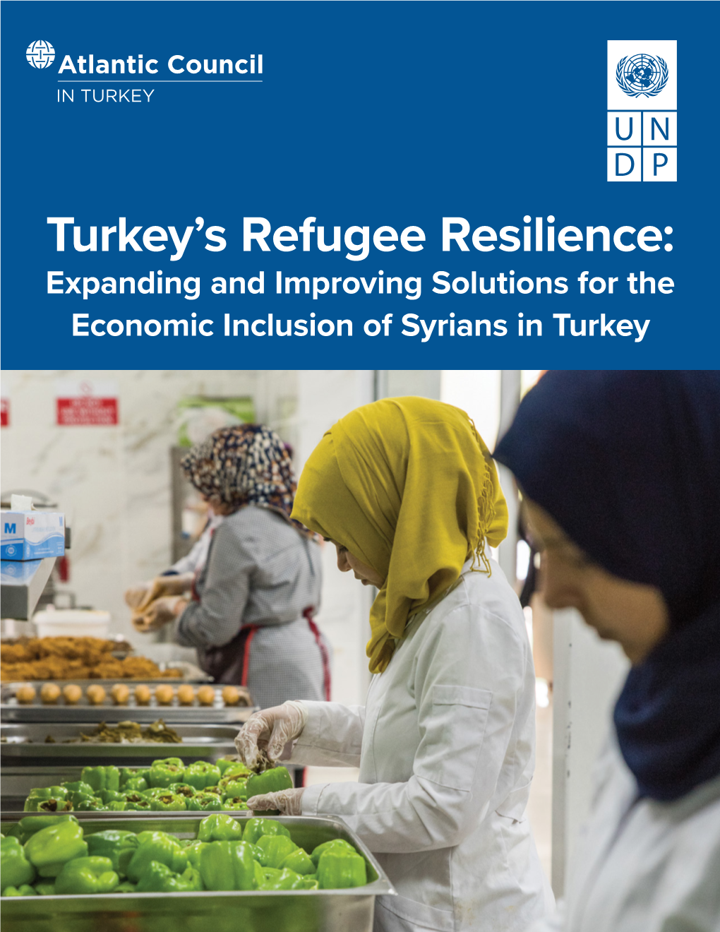 Turkey's Refugee Resilience: Expanding and Improving Solutions for the Economic Inclusion of Syrians in Turkey