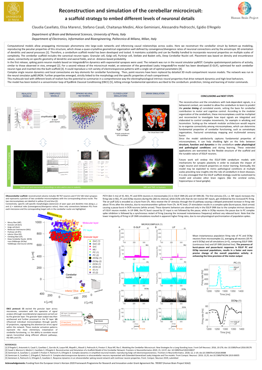 Reconstruction and Simulation of the Cerebellar Microcircuit: a Scaffold Strategy to Embed Different Levels of Neuronal Details