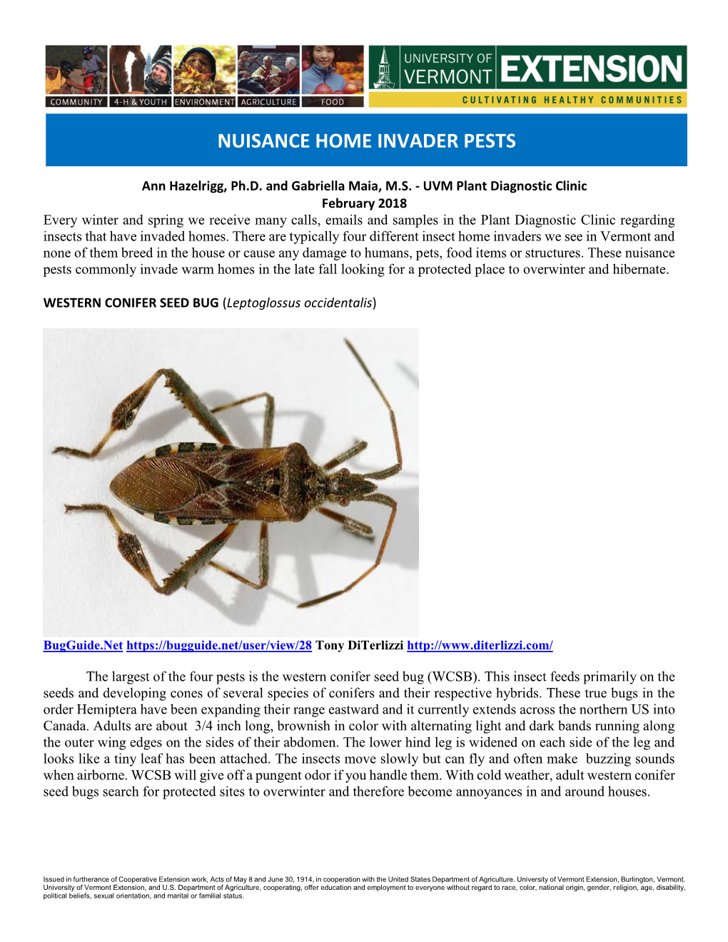 Nuisance Home Invader Pests