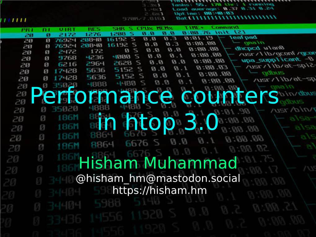 Performance Counters in Htop 3.0