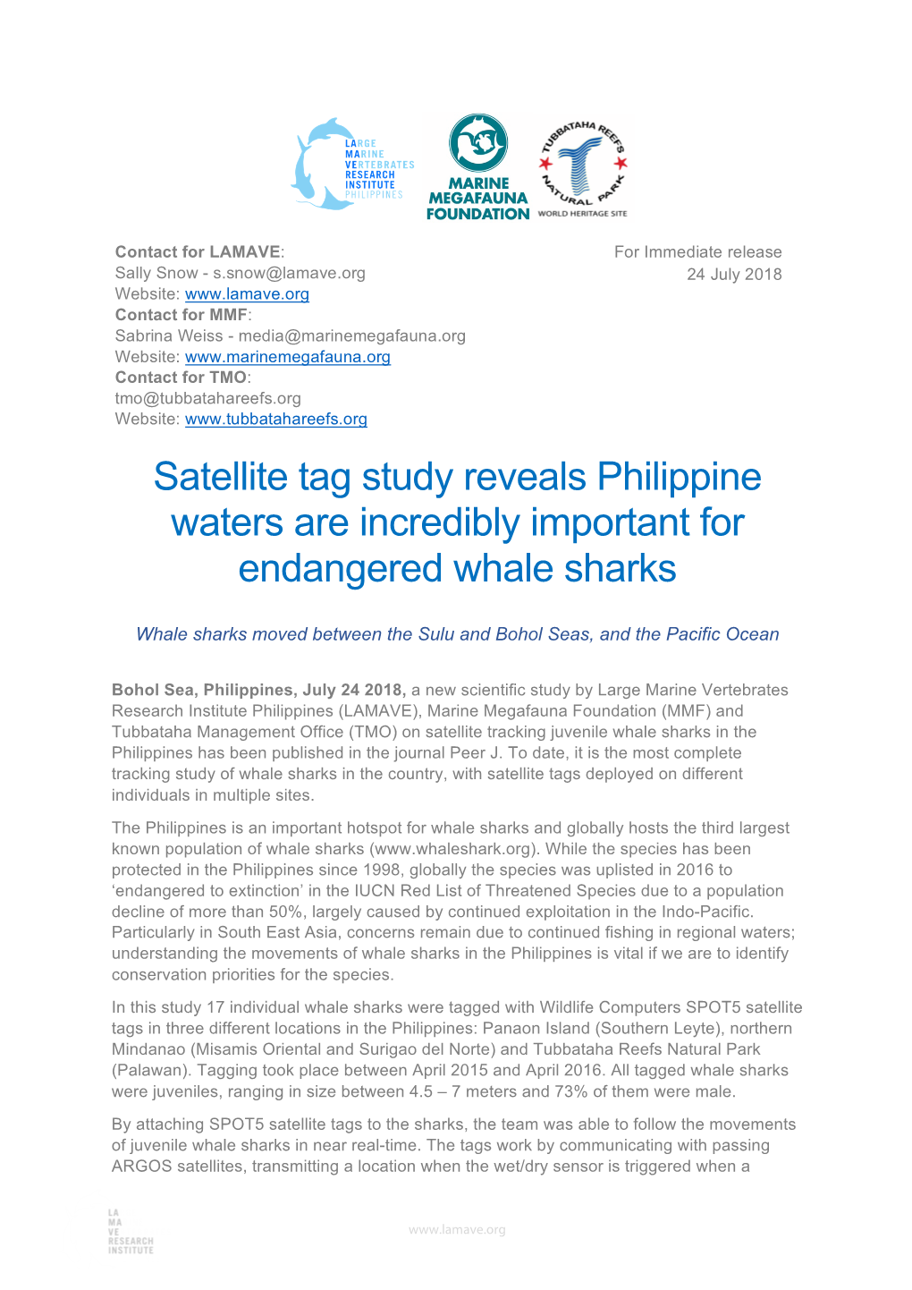 Satellite Tag Study Reveals Philippine Waters Are Incredibly Important for Endangered Whale Sharks