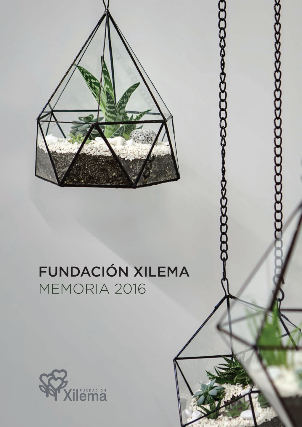 Fundación Xilema Memoria 2016