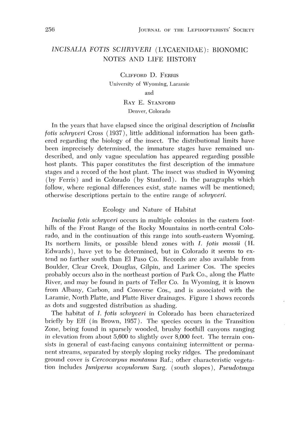 Incisalia Fotis Schryveri (Lycaenidae): Bionomic Notes and Life History
