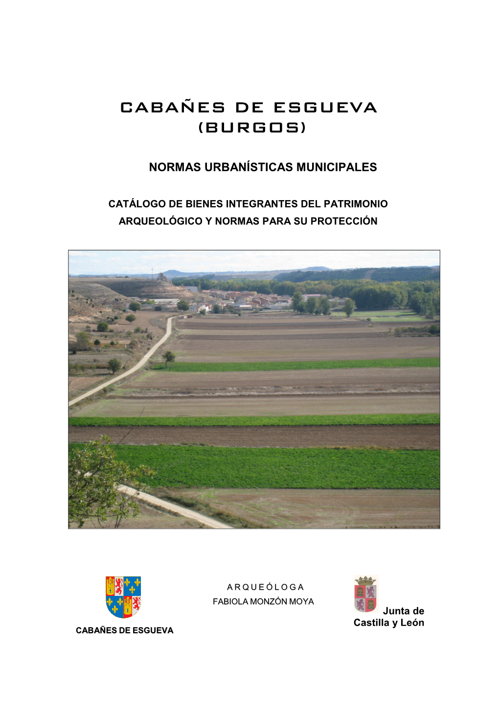 Cabañes De Esgueva (Burgos)
