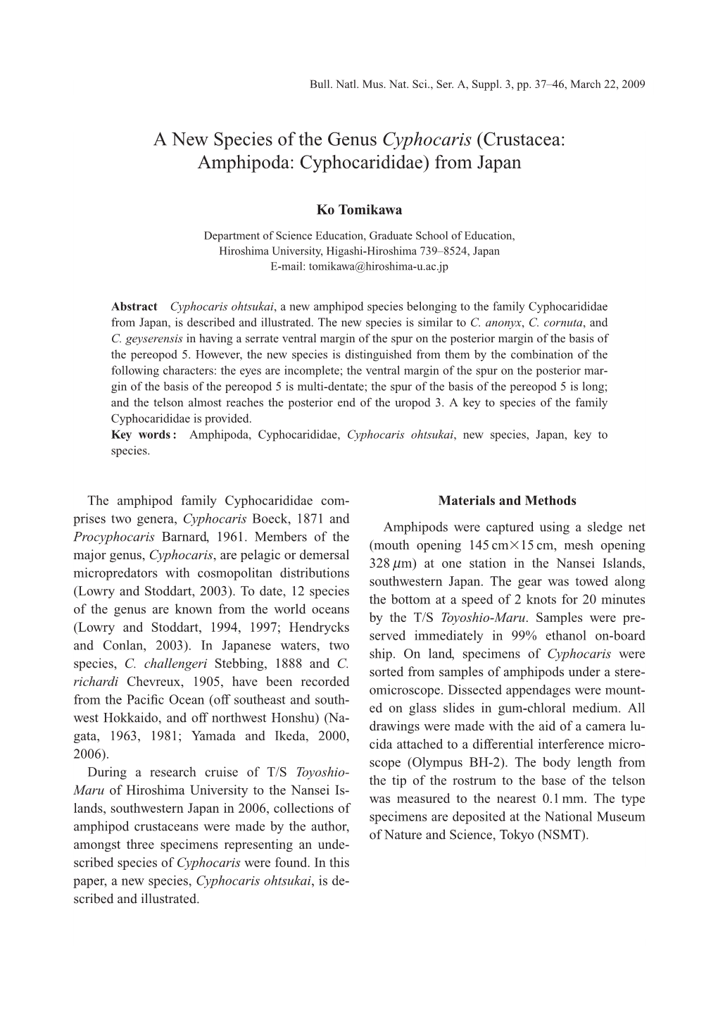 Crustacea: Amphipoda: Cyphocarididae) from Japan