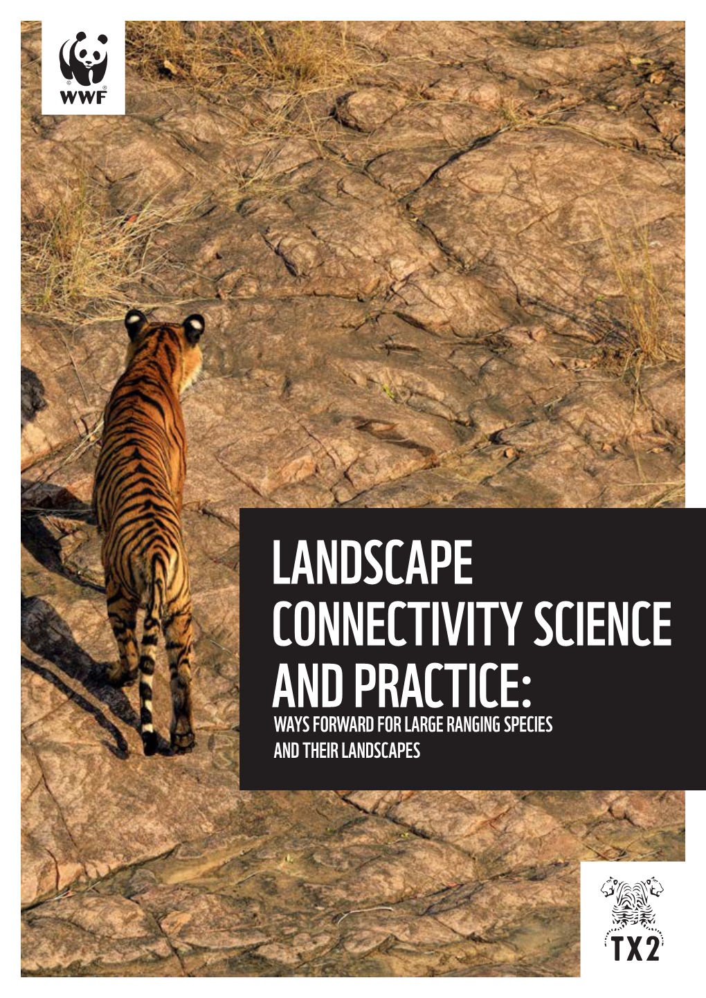 Landscape Connectivity Science and Practice: Ways Forward for Large Ranging Species and Their Landscapes