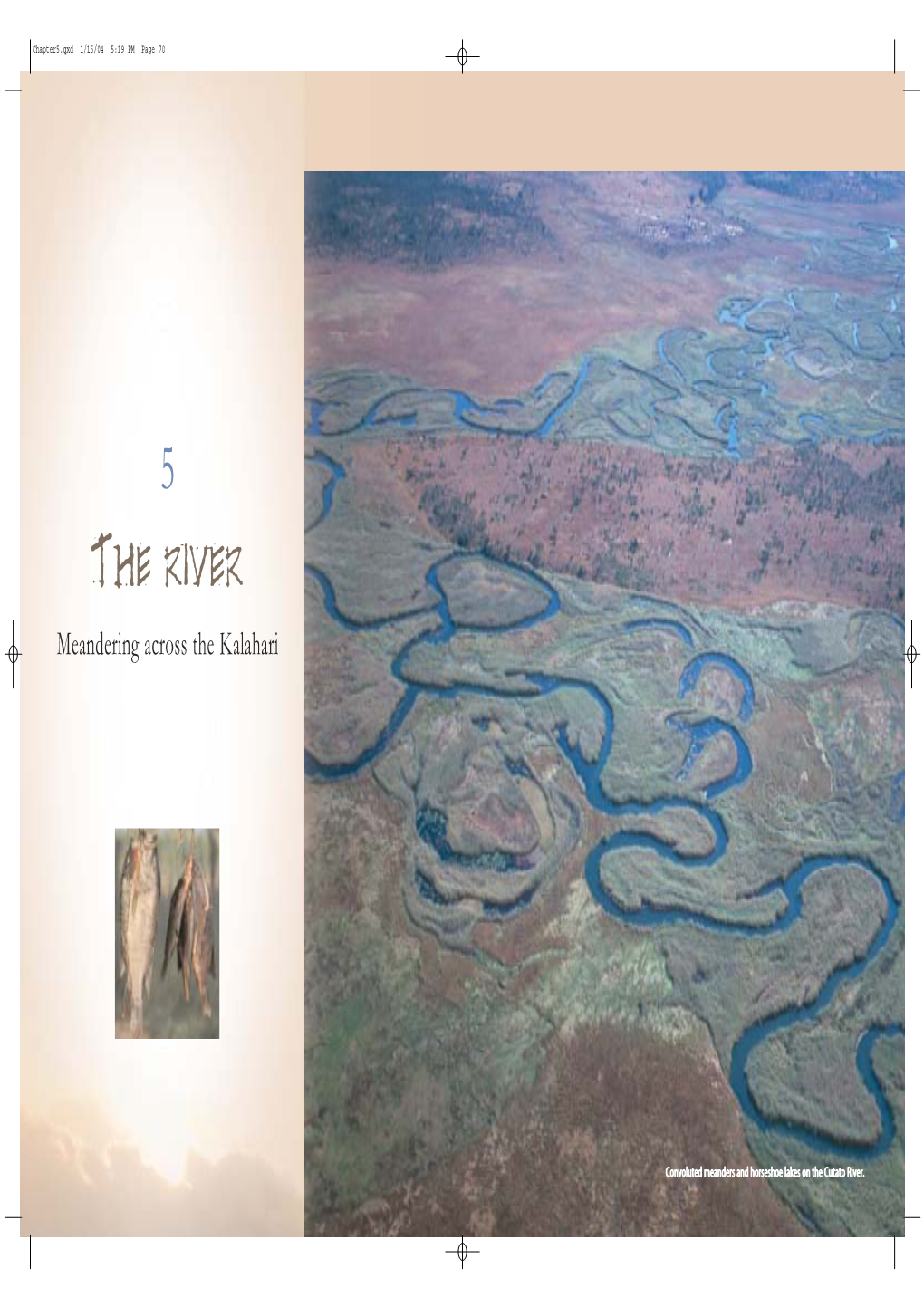 Okavango River Chapter 5 2004.Pdf