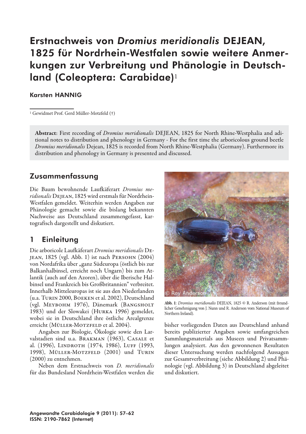 Dromius Meridionalis DEJEAN, 1825 Für Nordrhein-Westfalen Sowie Weitere Anmer- Kungen Zur Verbreitung Und Phänologie in Deutsch- Land (Coleoptera: Carabidae)1