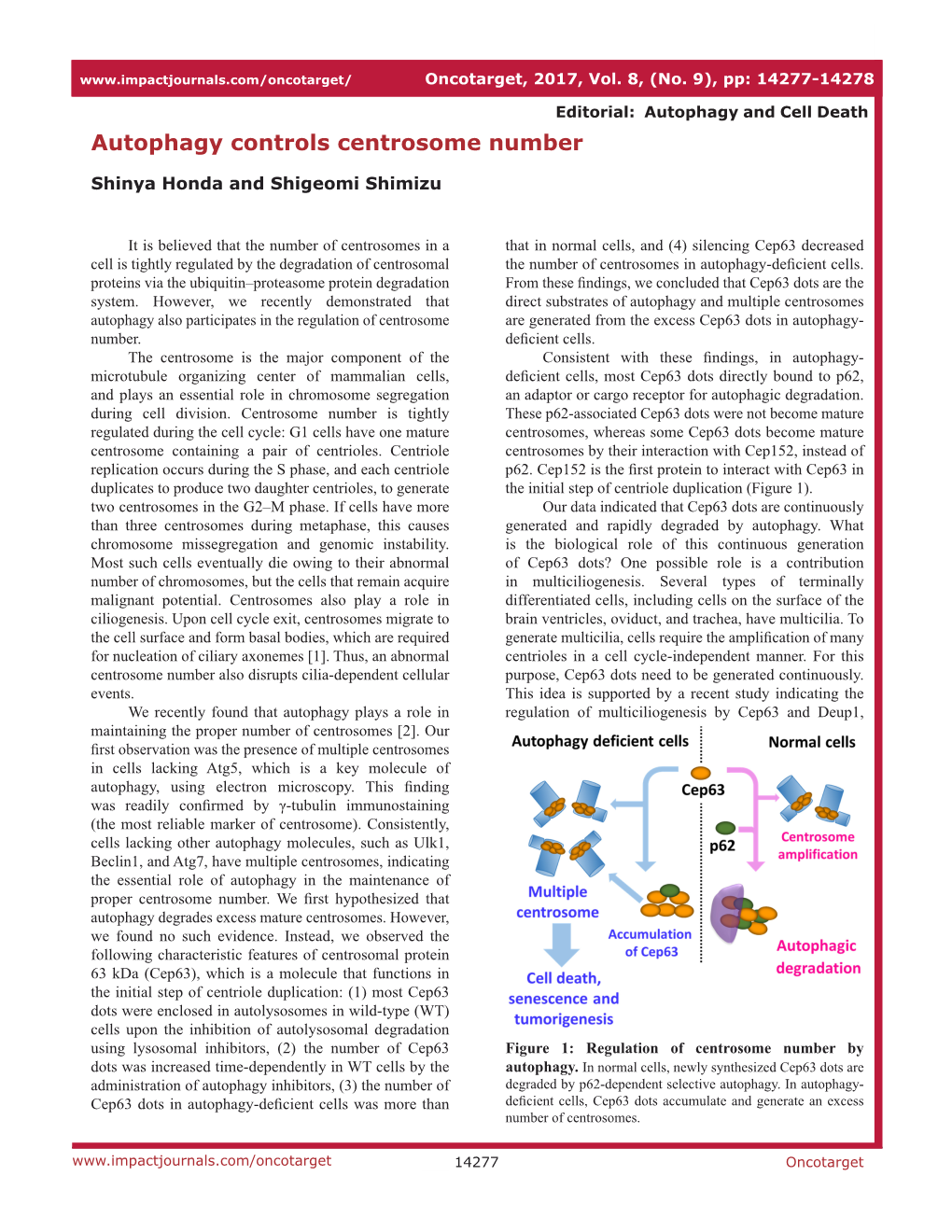 Autophagy Controls Centrosome Number