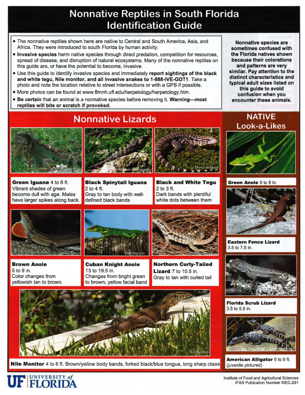 Nonnative Reptilies in South Florida ID Guide