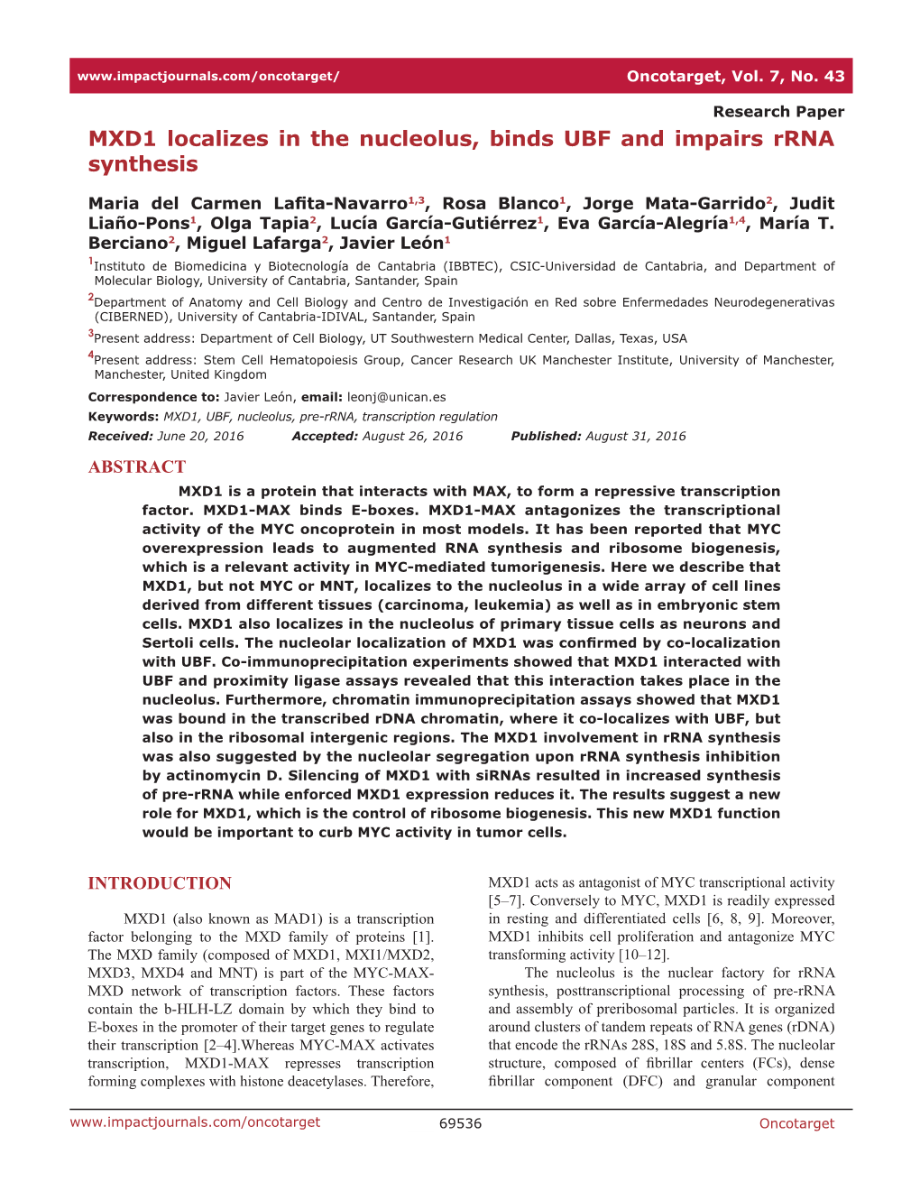 MXD1 Localizes in the Nucleolus, Binds UBF and Impairs Rrna Synthesis