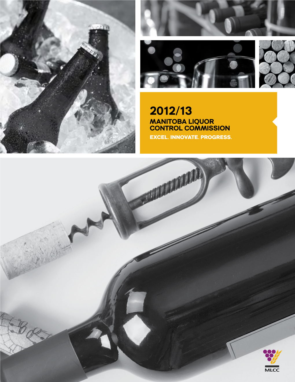 2012-13 Annual Report