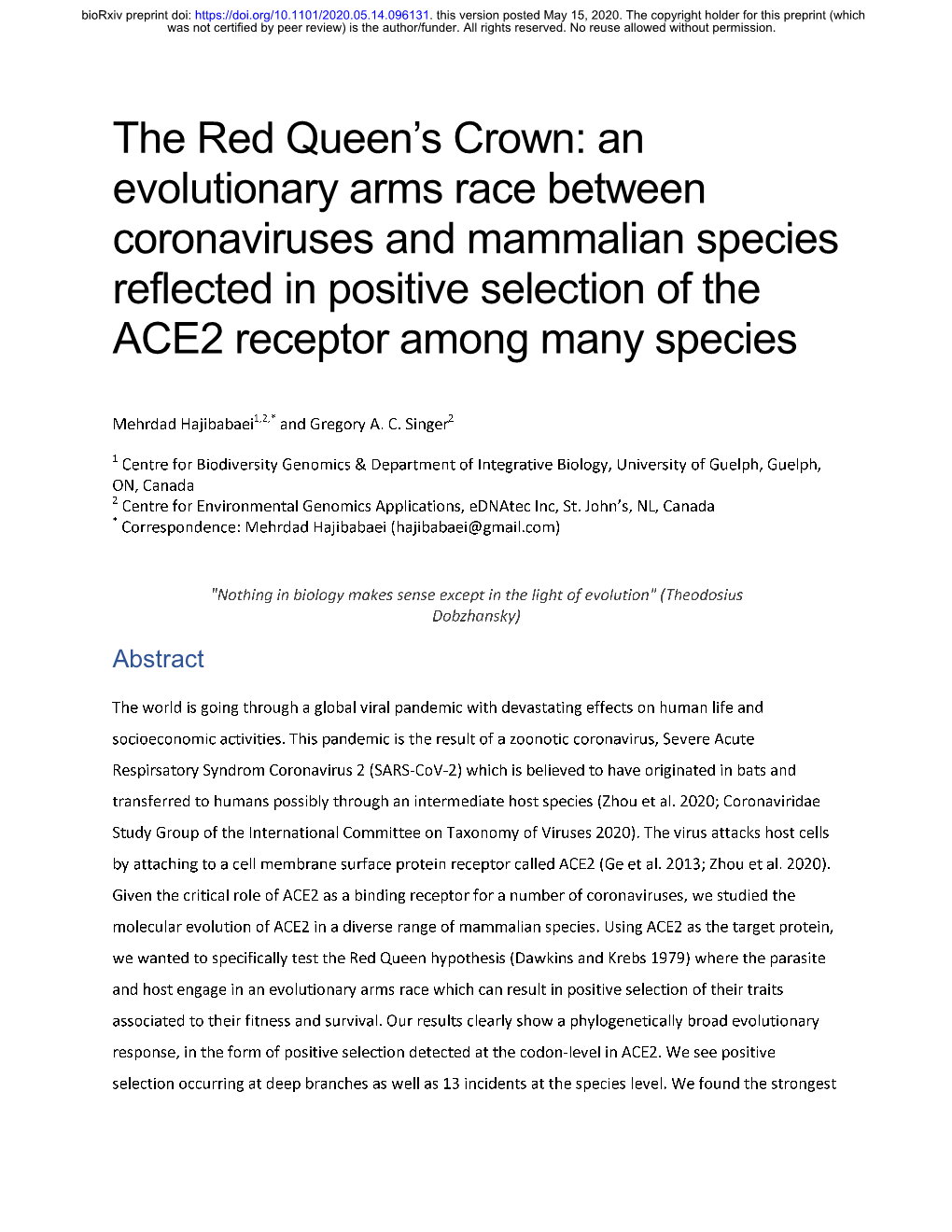 An Evolutionary Arms Race Between Coronaviruses and Mammalian Species Reflected in Positive Selection of the ACE2 Receptor Among Many Species