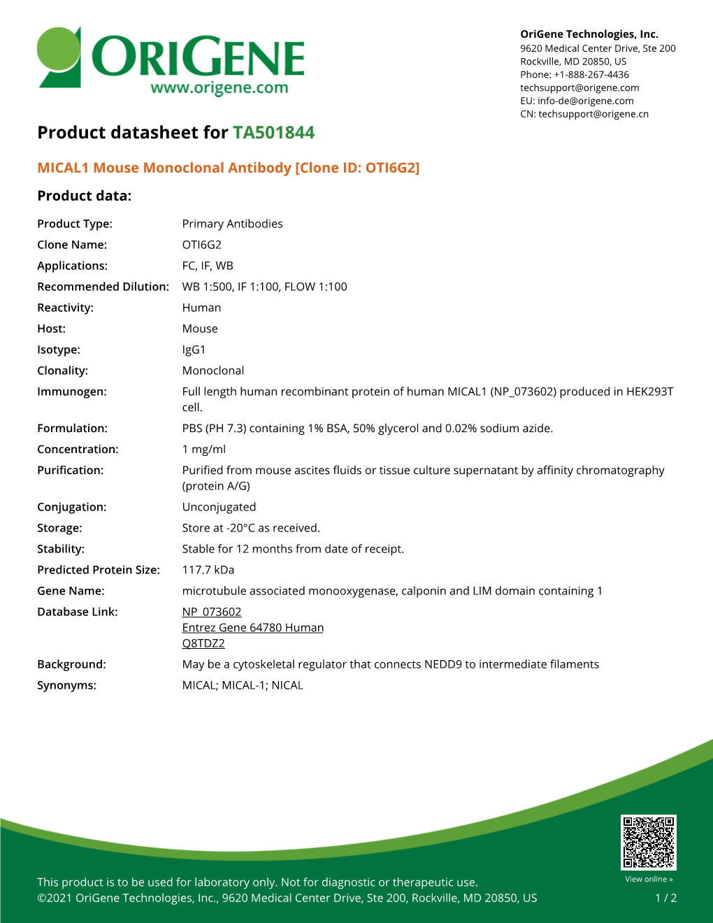 MICAL1 Mouse Monoclonal Antibody [Clone ID: OTI6G2] Product Data