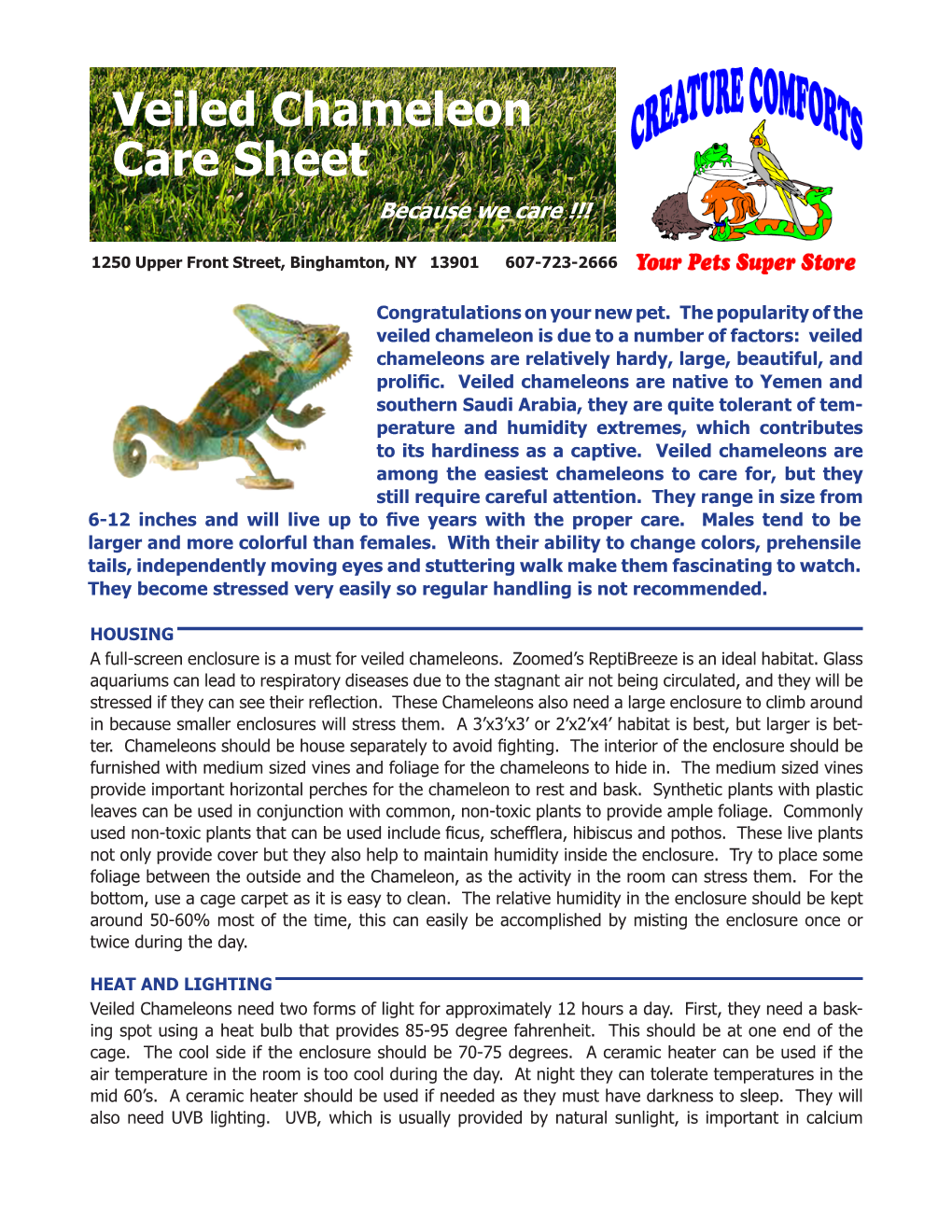 Veiled Chameleon Care Sheet Because We Care !!!