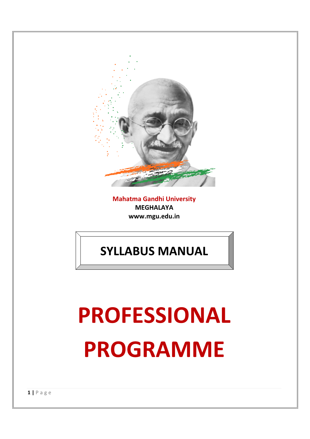 Professional Programme