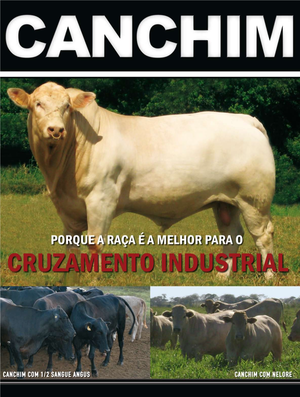 Revista Canchim 2010