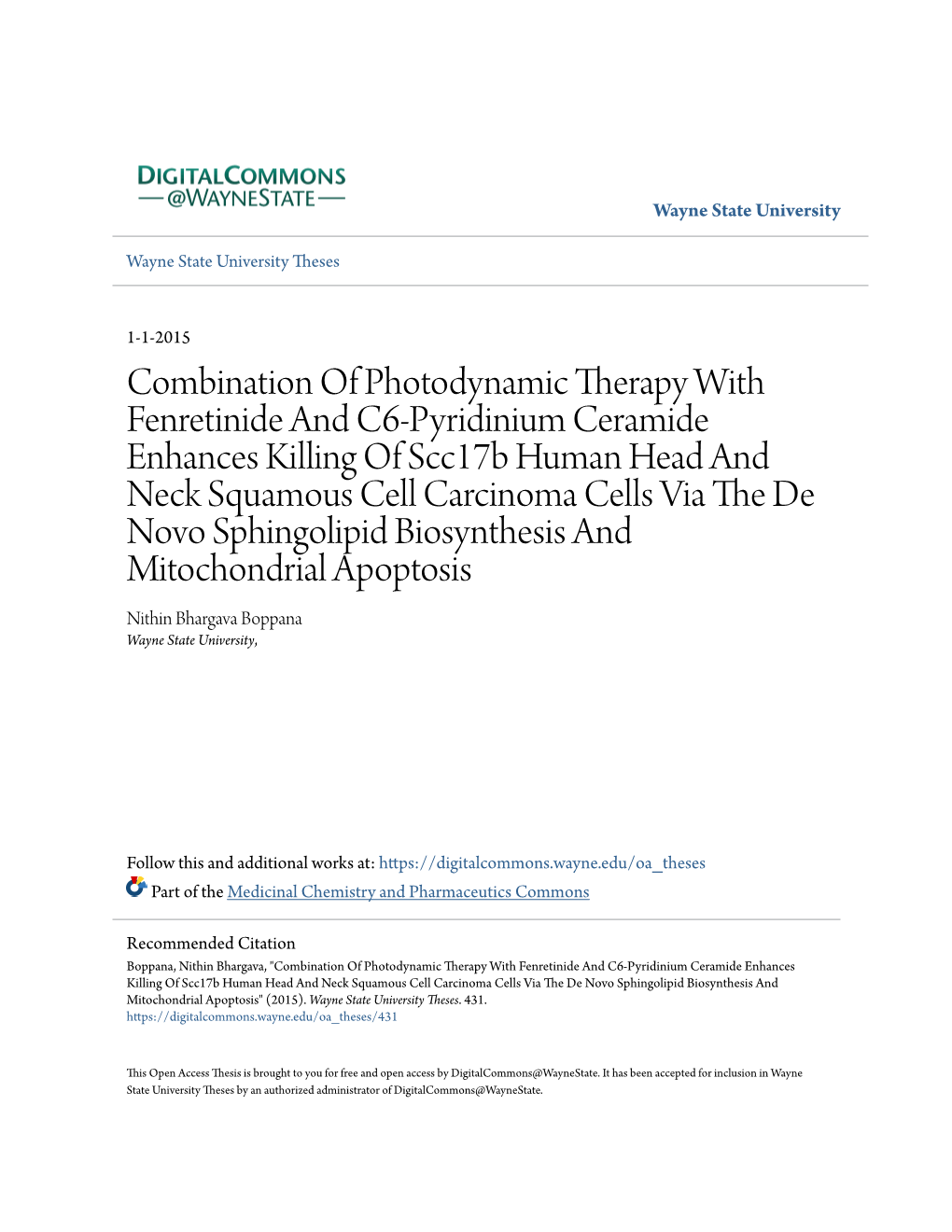 Combination of Photodynamic Therapy with Fenretinide and C6