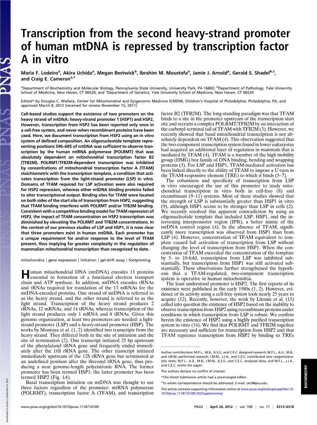 Transcription from the Second Heavy-Strand Promoter of Human Mtdna Is Repressed by Transcription Factor a in Vitro