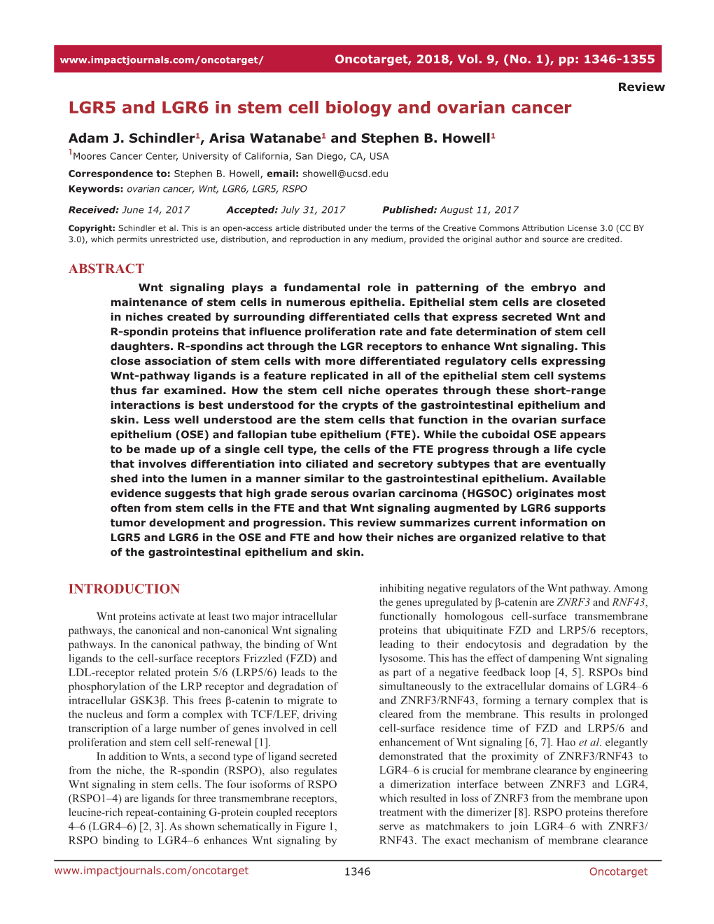 LGR5 and LGR6 in Stem Cell Biology and Ovarian Cancer