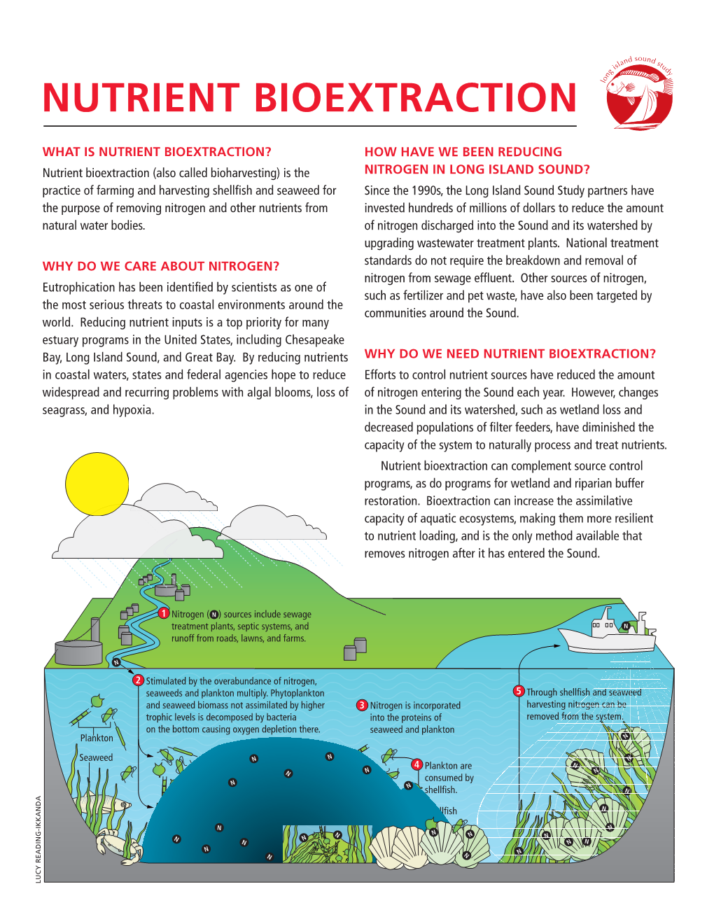 Nutrient Bioextraction L