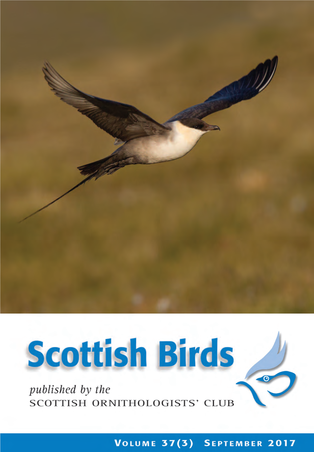 Scottish Birds 37:3 (2017)