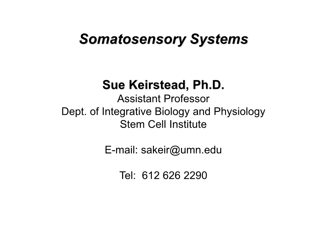 Somatosensory Systems