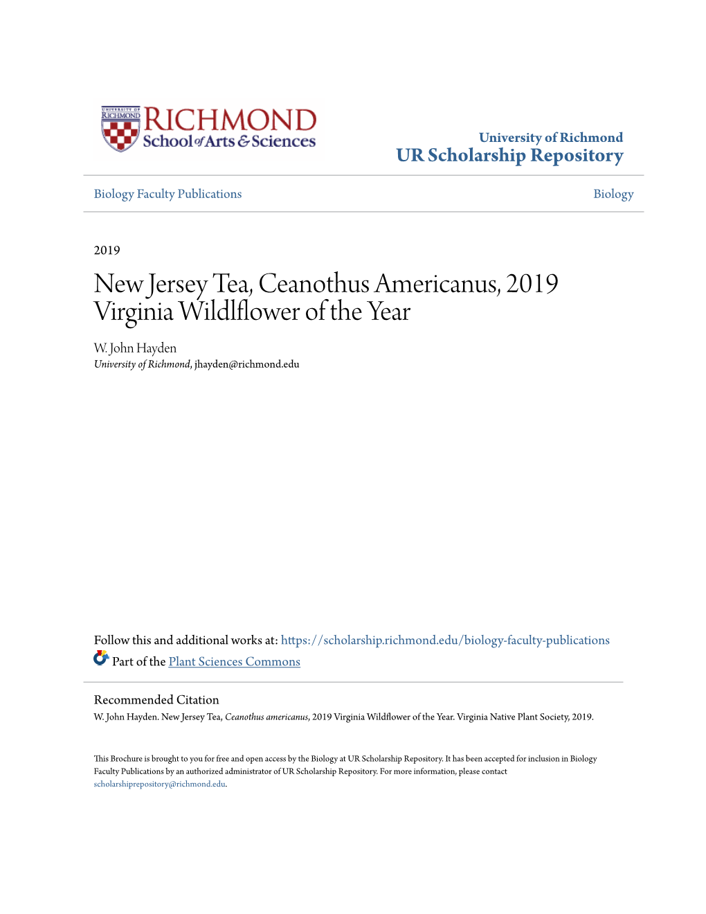 New Jersey Tea, Ceanothus Americanus, 2019 Virginia Wildlflower of the Year W