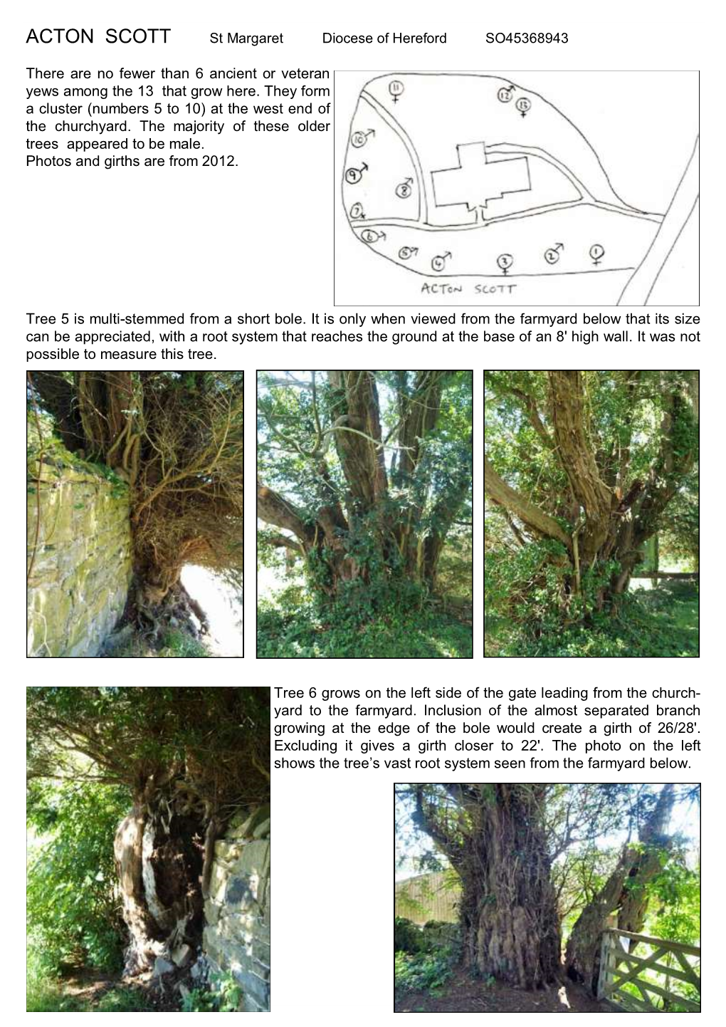 ACTON SCOTT St Margaret Diocese of Hereford SO45368943