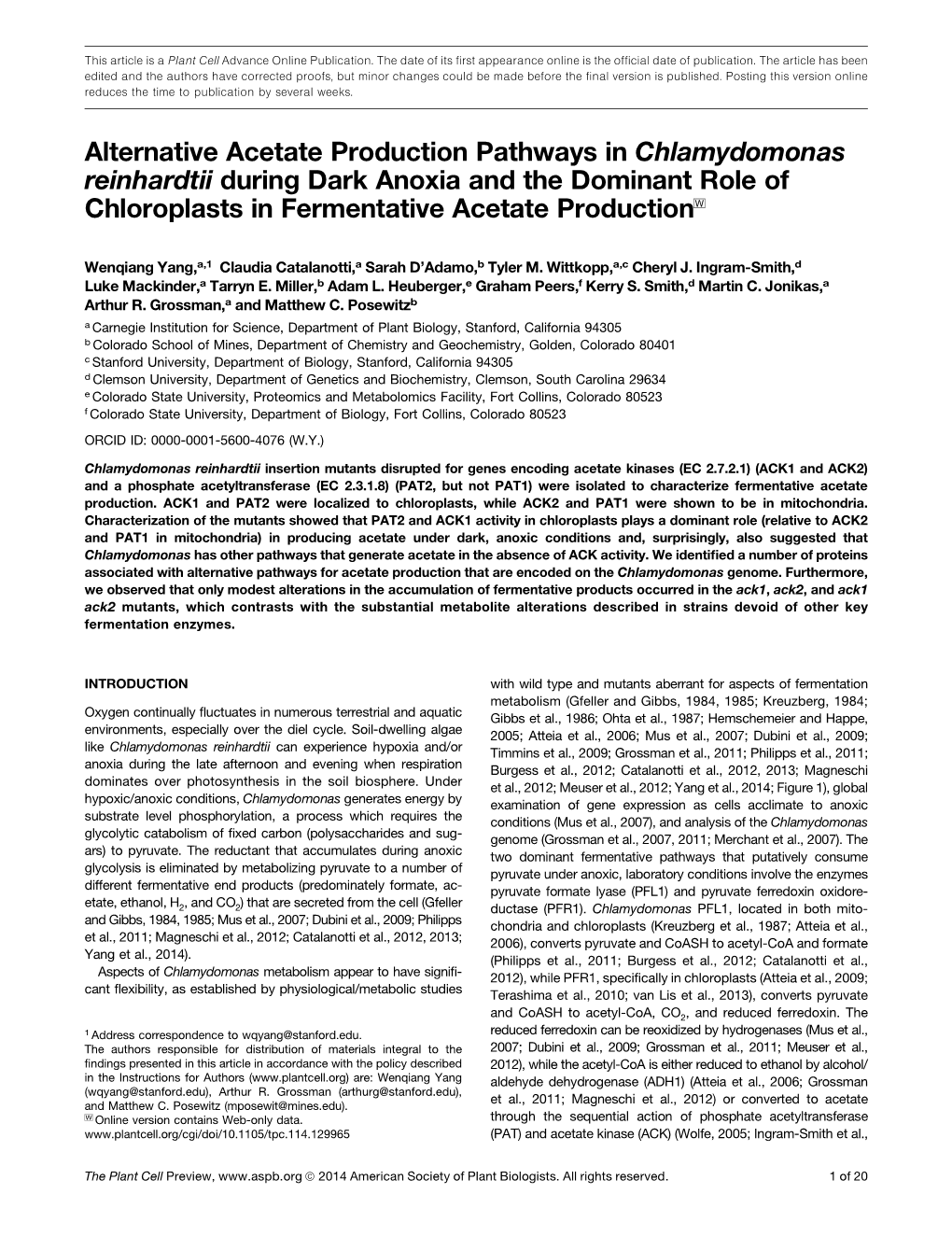 Alternative Acetate Production Pathways in Chlamydomonas Reinhardtii During Dark Anoxia and the Dominant Role of Chloroplasts in Fermentative Acetate Productionw