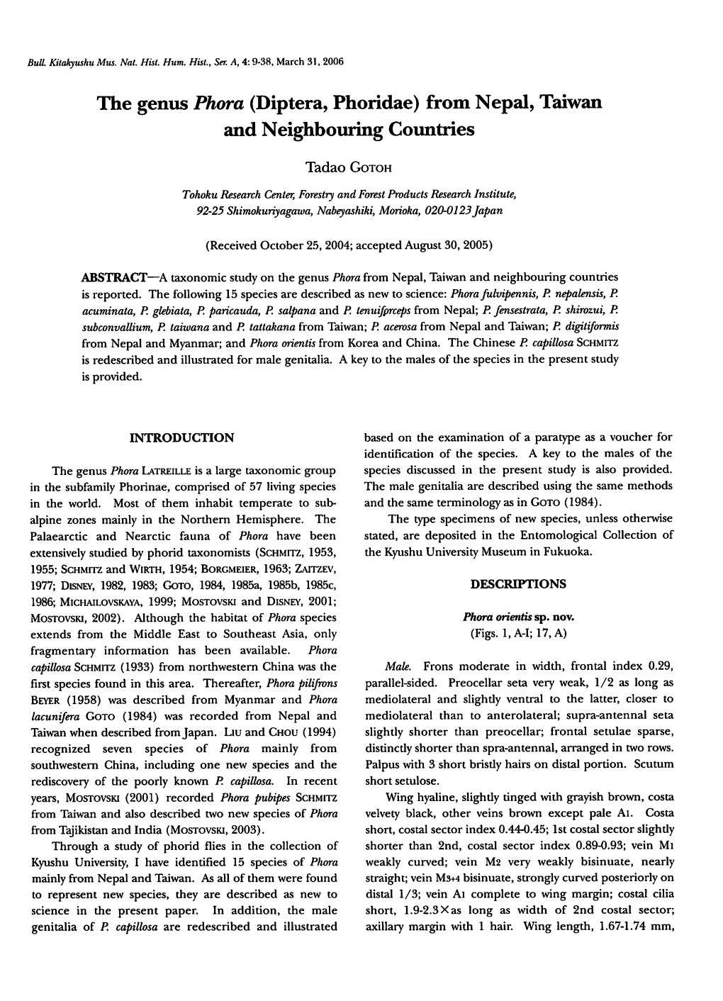 The Genus Phora (Diptera, Phoridae) from Nepal, Taiwan and Neighbouring Countries