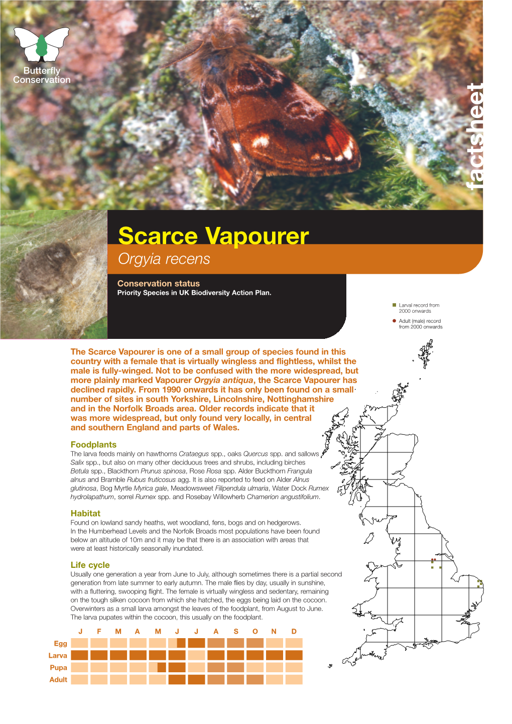 Scarce Vapourer Priority Species Factsheet