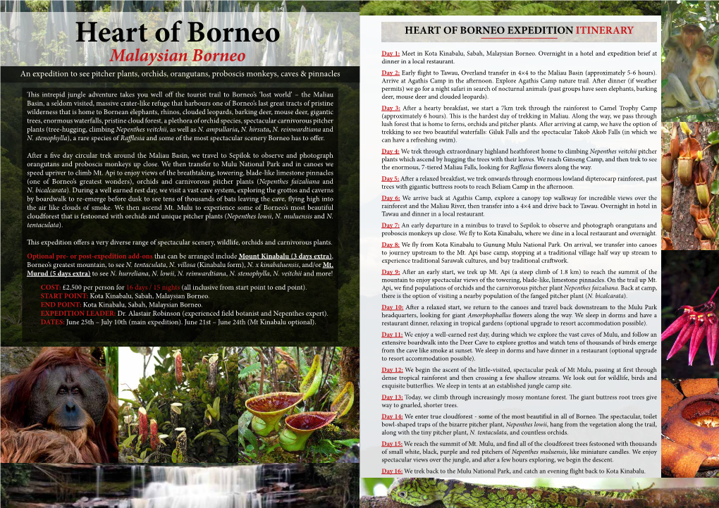 Heart of Borneo HEART of BORNEO EXPEDITION ITINERARY Day 1: Meet in Kota Kinabalu, Sabah, Malaysian Borneo