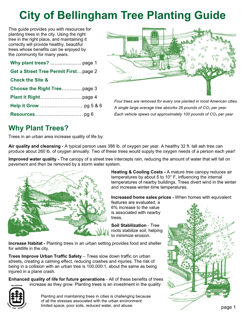 Tree Planting Guide