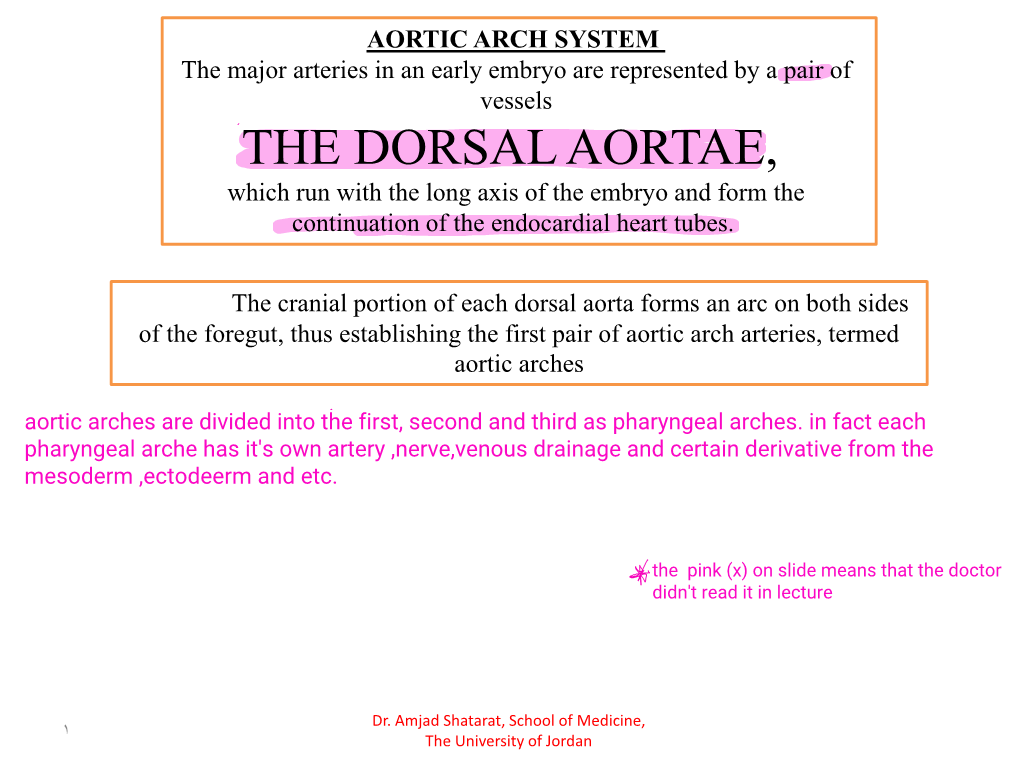 THE DORSAL AORTAE, Which Run with the Long Axis of the Embryo and Form the Continuation of the Endocardial Heart Tubes