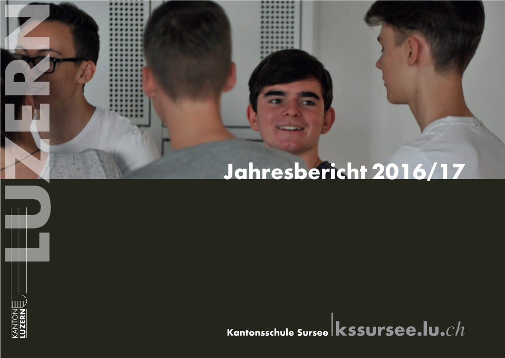 Jahresbericht 2016/17